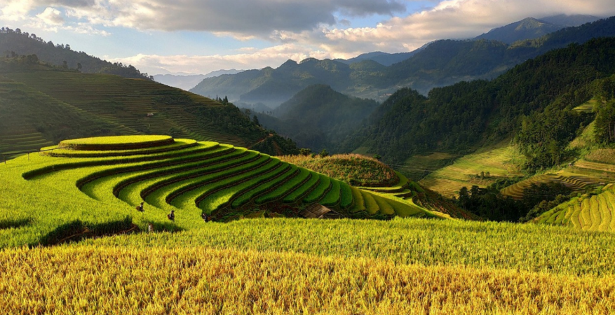 Vietnam02