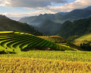 Vietnam02