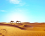 Egypt03